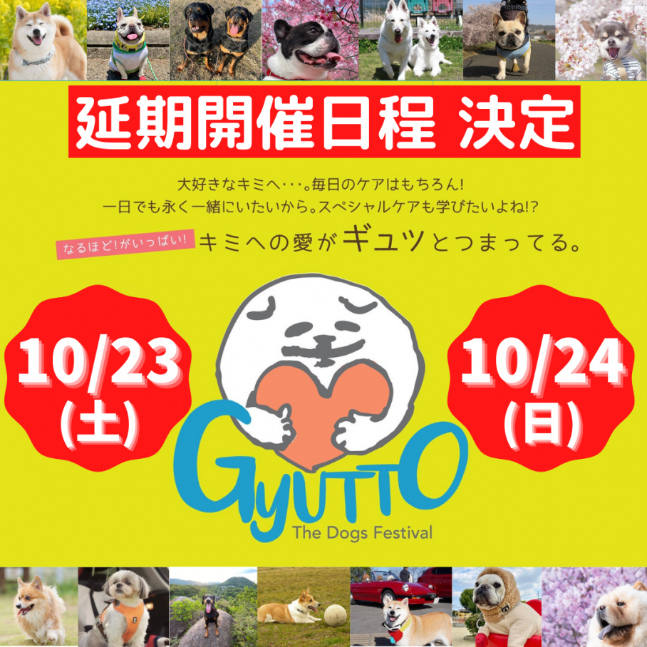 The Dogs Festival Gyutto の公演詳細 公演を探す キョードー大阪